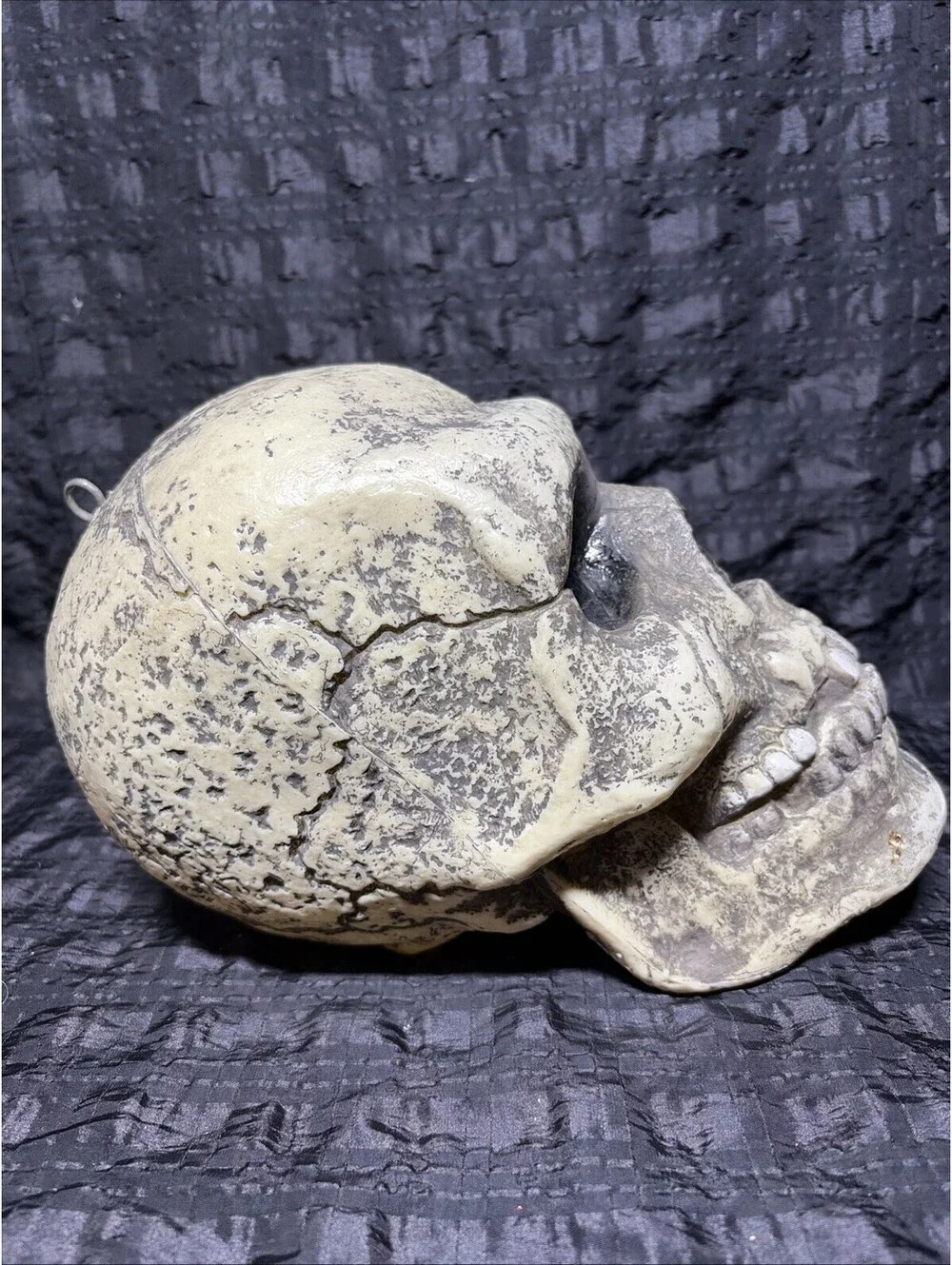 9” Creepy Skull Death Corpse Halloween Decor Prop Skeleton